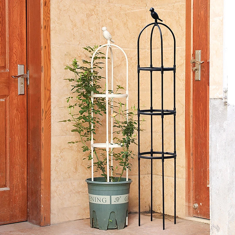 Climbing Plant Trellis Support Frame