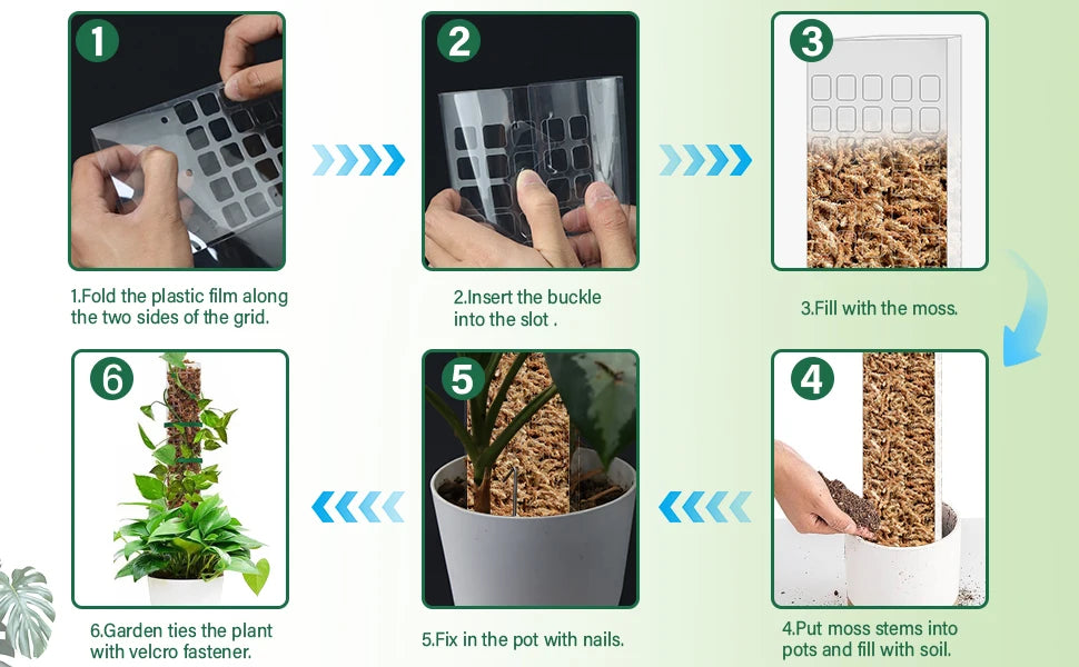 Climbing Moss Pole for Plants