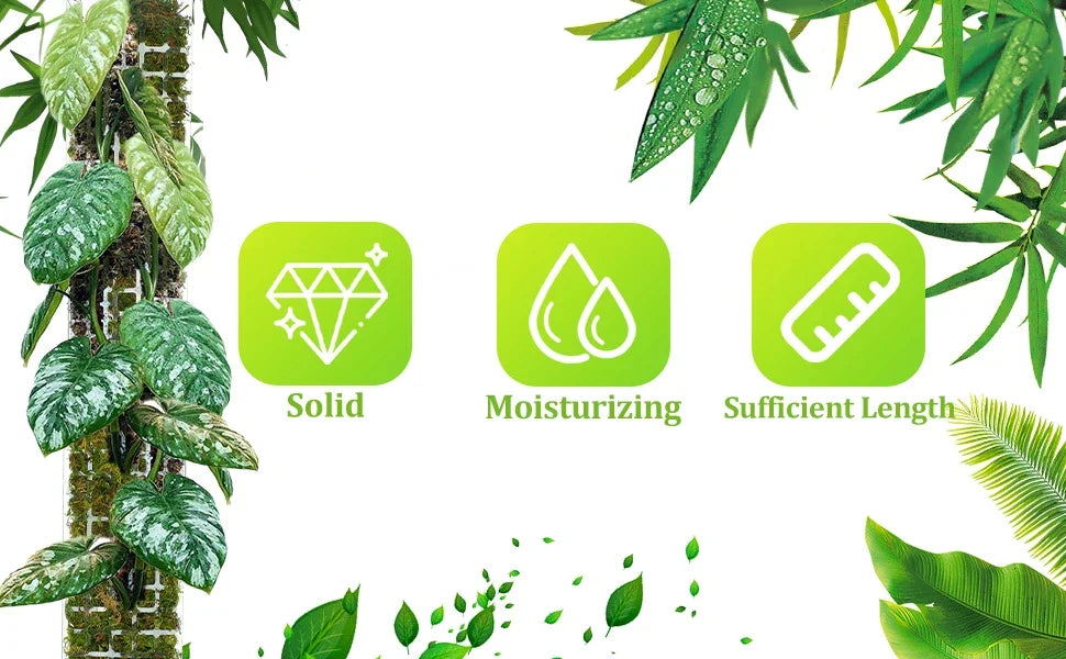 Indoor Moss Pole Plant Support