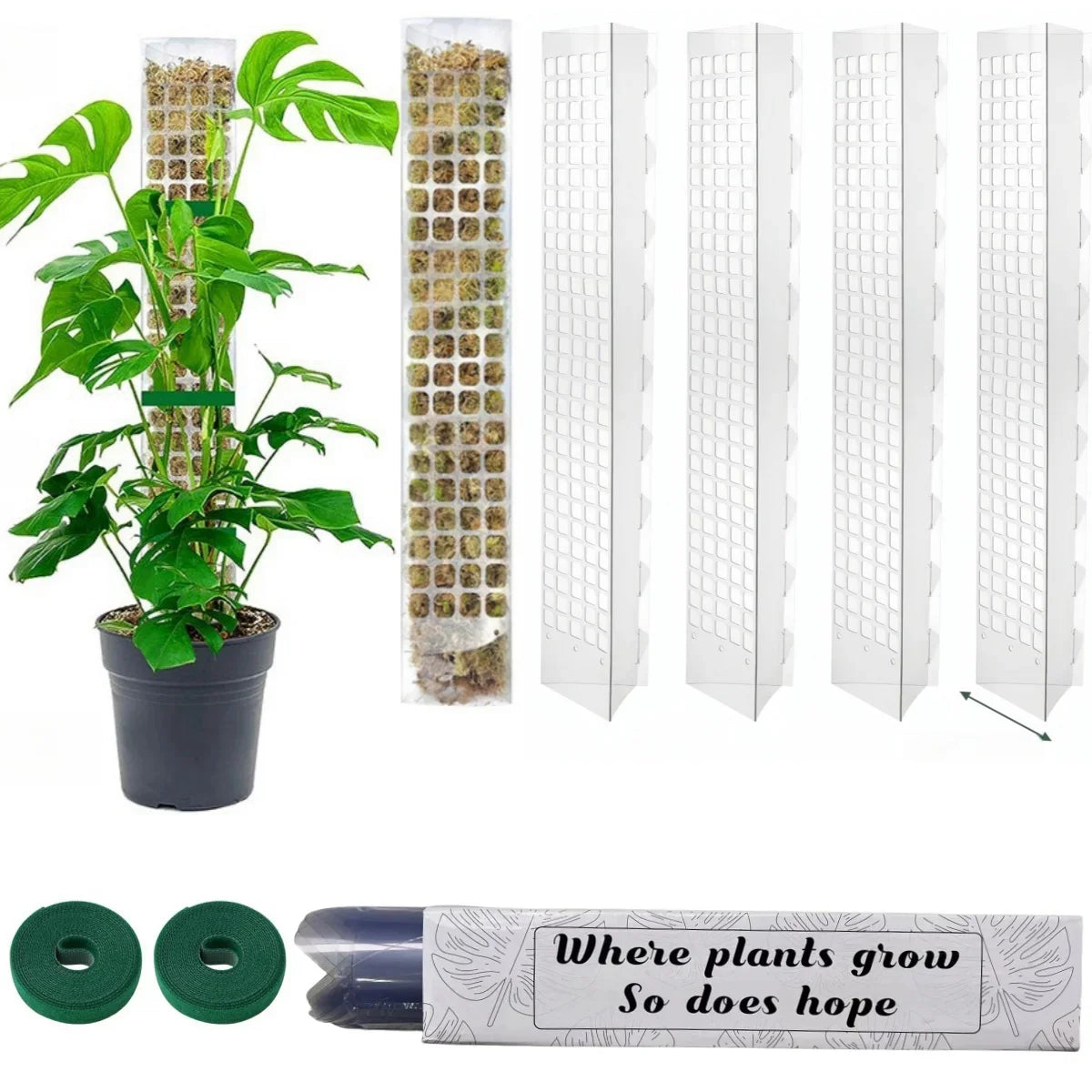 Indoor Moss Pole Plant Support