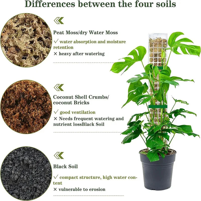 Indoor Moss Pole Plant Support