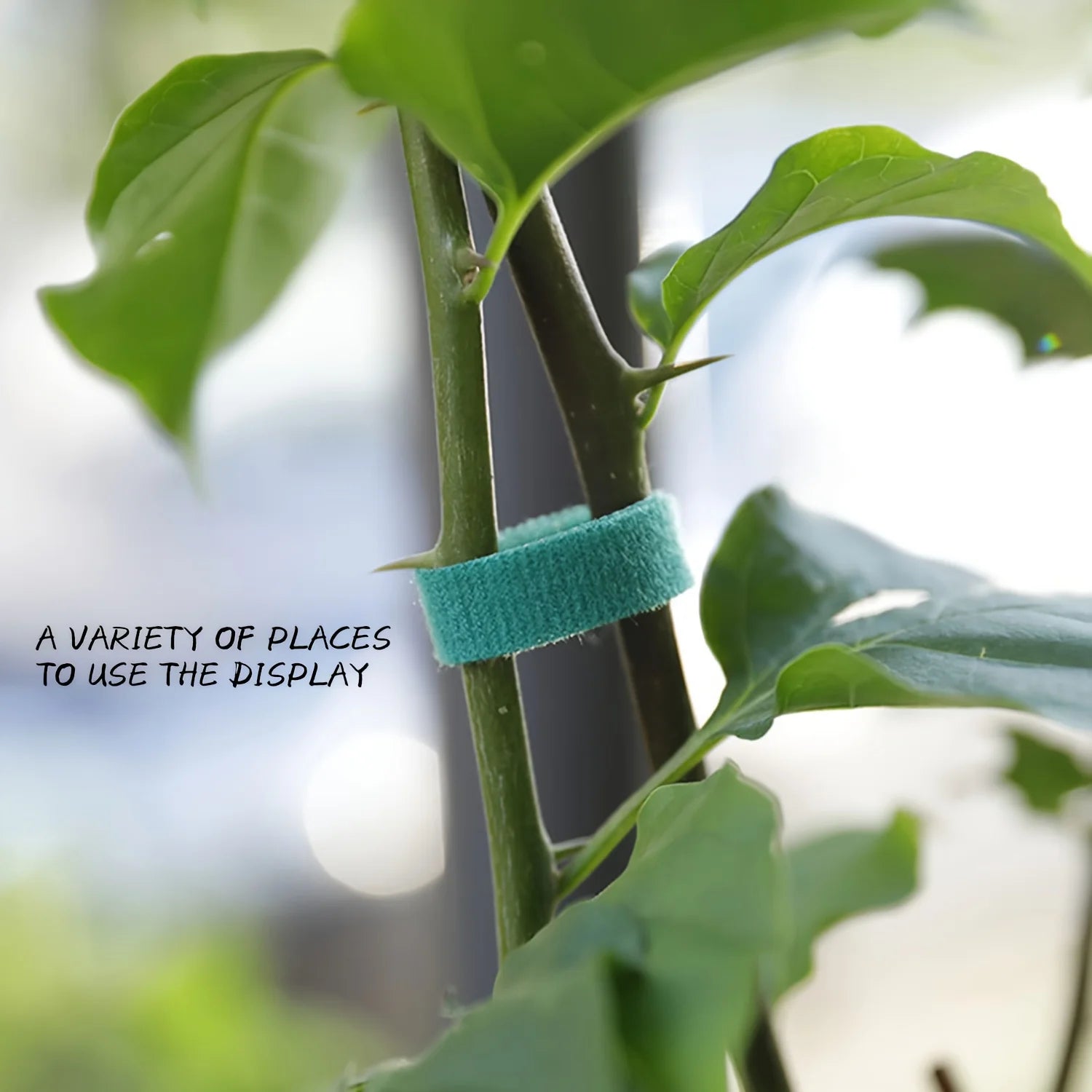 2M Adjustable Nylon Plant Ties – Reusable Garden Support Fastener Tape