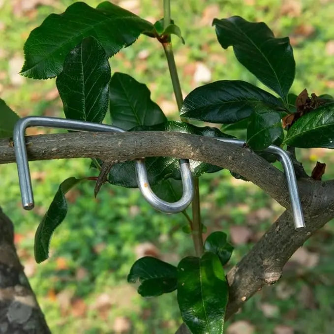 30/50PCS Reusable Branch Limb Spreaders – Fruit Tree & Vine Support (4 Sizes)