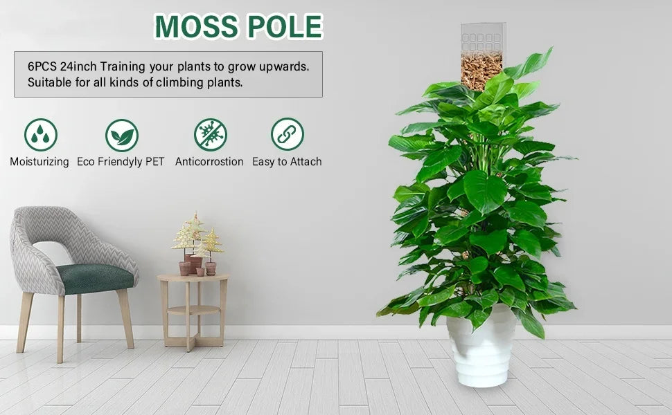 Indoor Moss Pole Plant Support