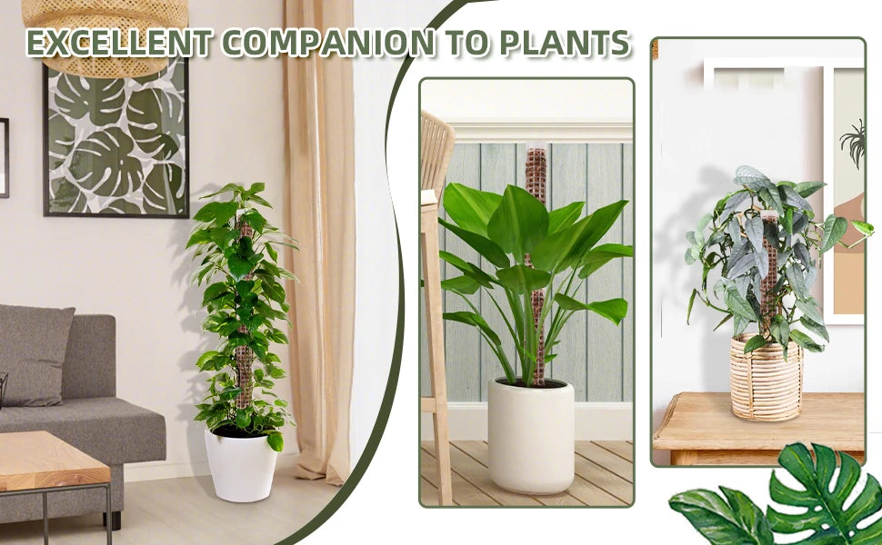 Climbing Moss Pole for Plants