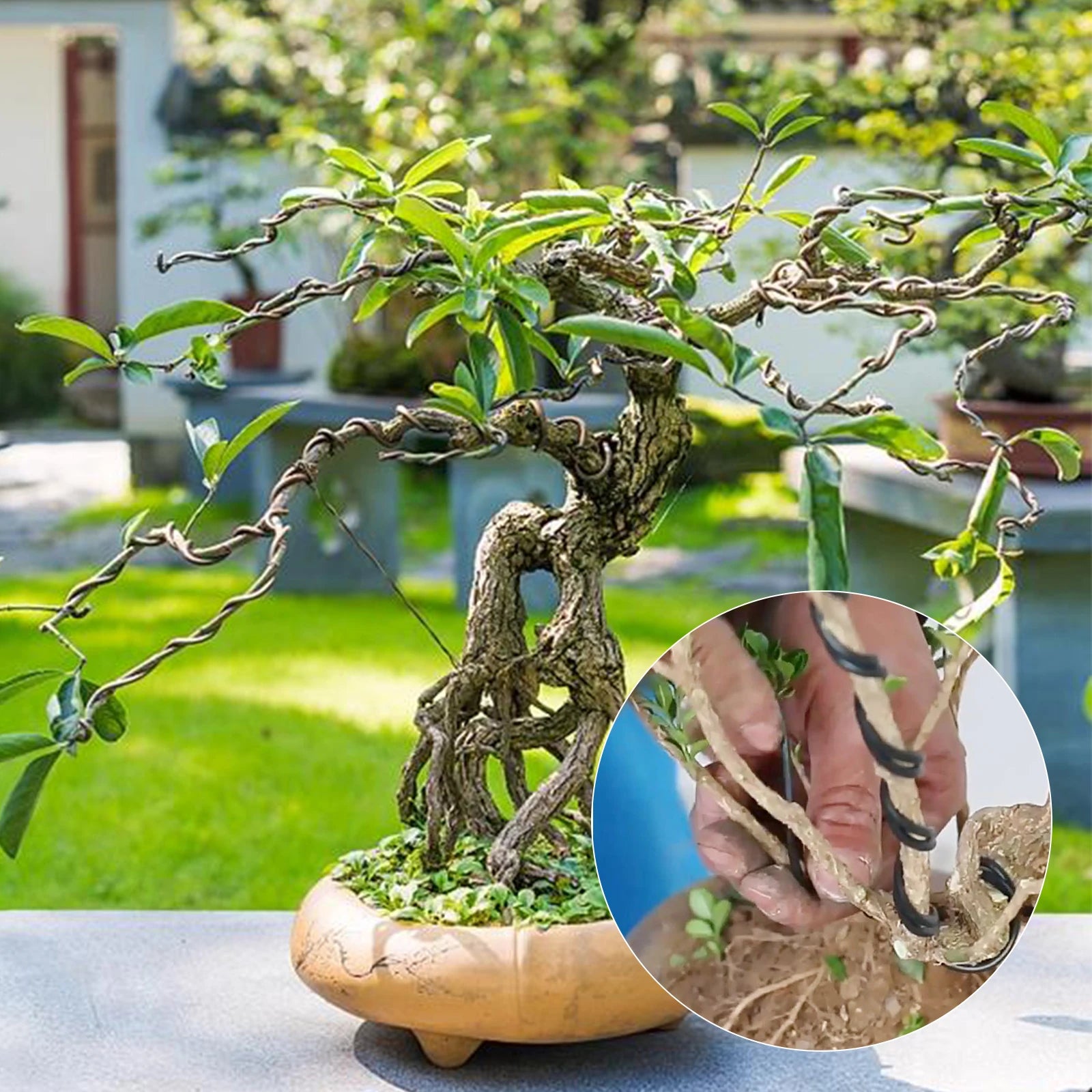 Aluminum Bonsai Training Wires