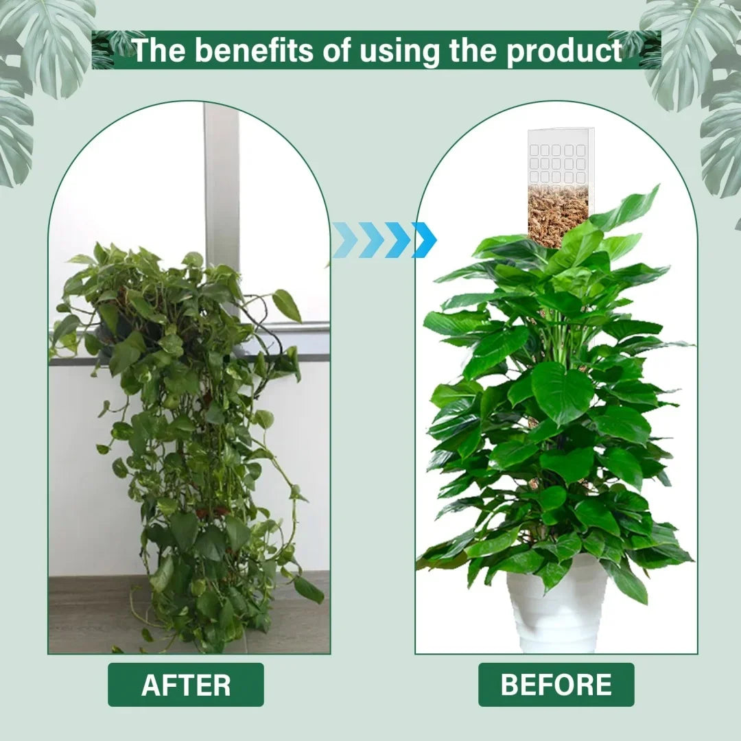 Indoor Moss Pole Plant Support