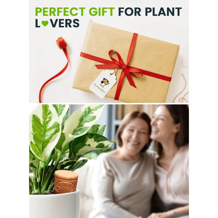 Terracotta Self-Watering Olla Pots (4-Pack)