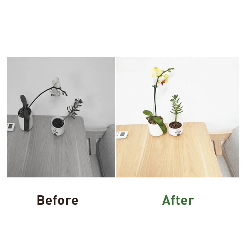 Reusable Plant Support Stakes