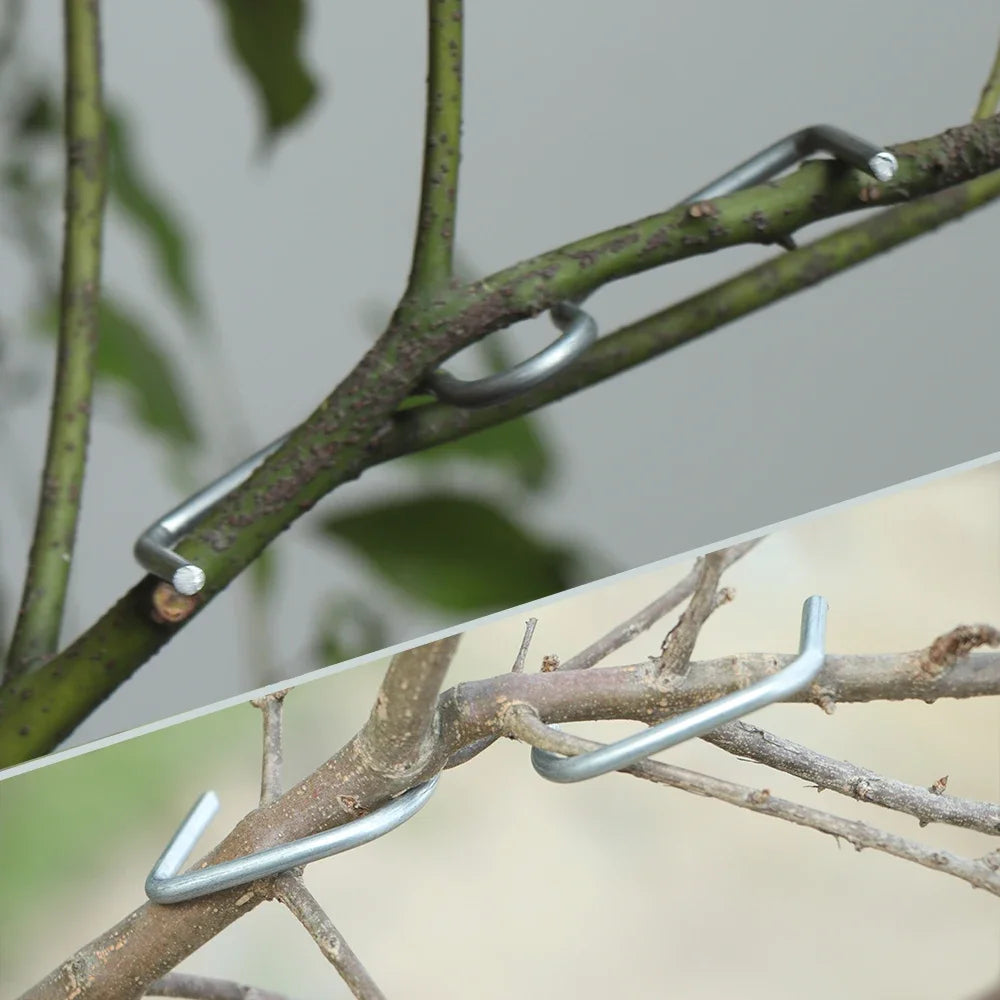 30/50PCS Reusable Branch Limb Spreaders – Fruit Tree & Vine Support (4 Sizes)