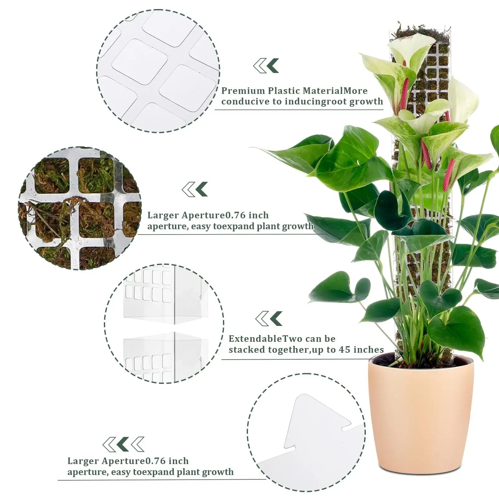 Indoor Moss Pole Plant Support