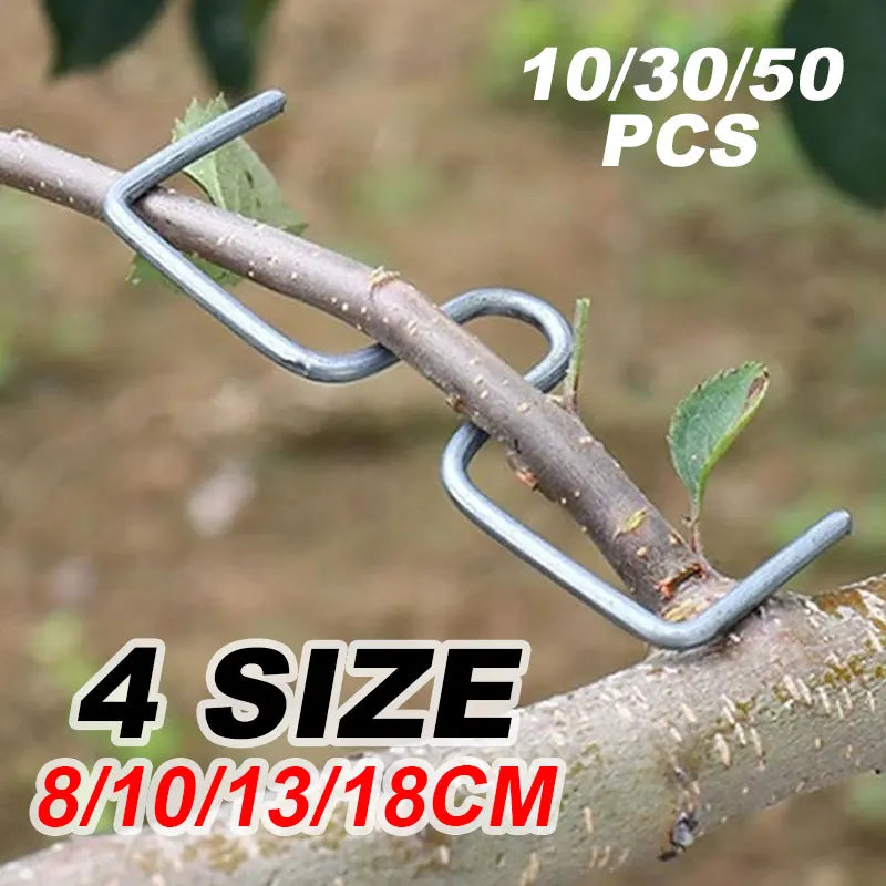 30/50PCS Reusable Branch Limb Spreaders – Fruit Tree & Vine Support (4 Sizes)