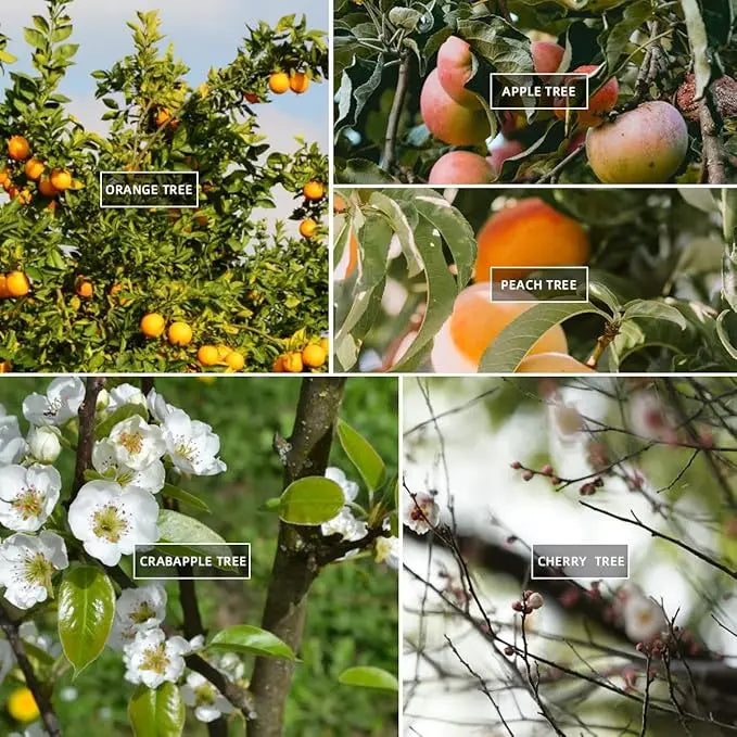 30/50PCS Reusable Branch Limb Spreaders – Fruit Tree & Vine Support (4 Sizes)