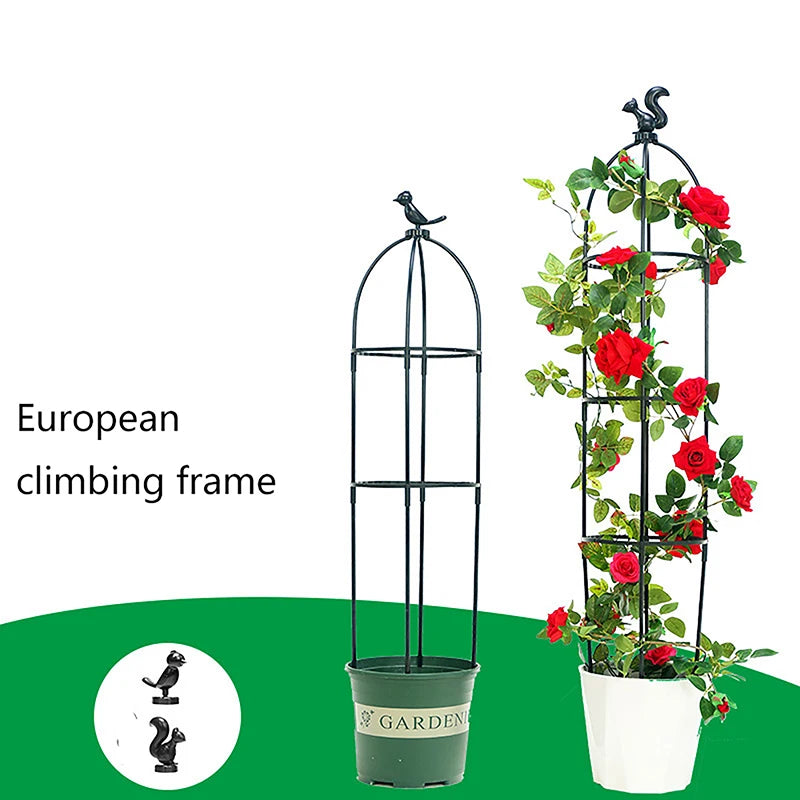 Climbing Plant Trellis Support Frame