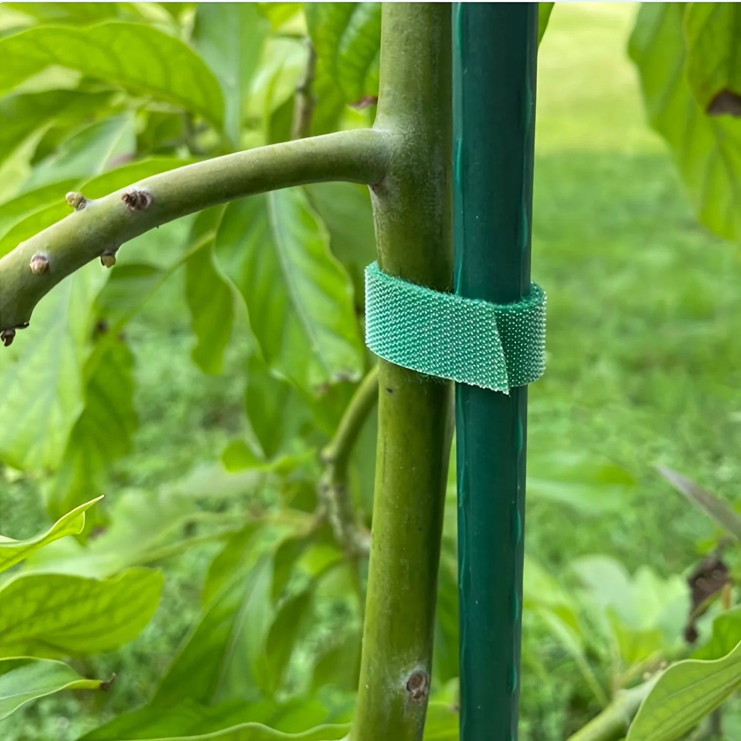 2M Adjustable Nylon Plant Ties – Reusable Garden Support Fastener Tape