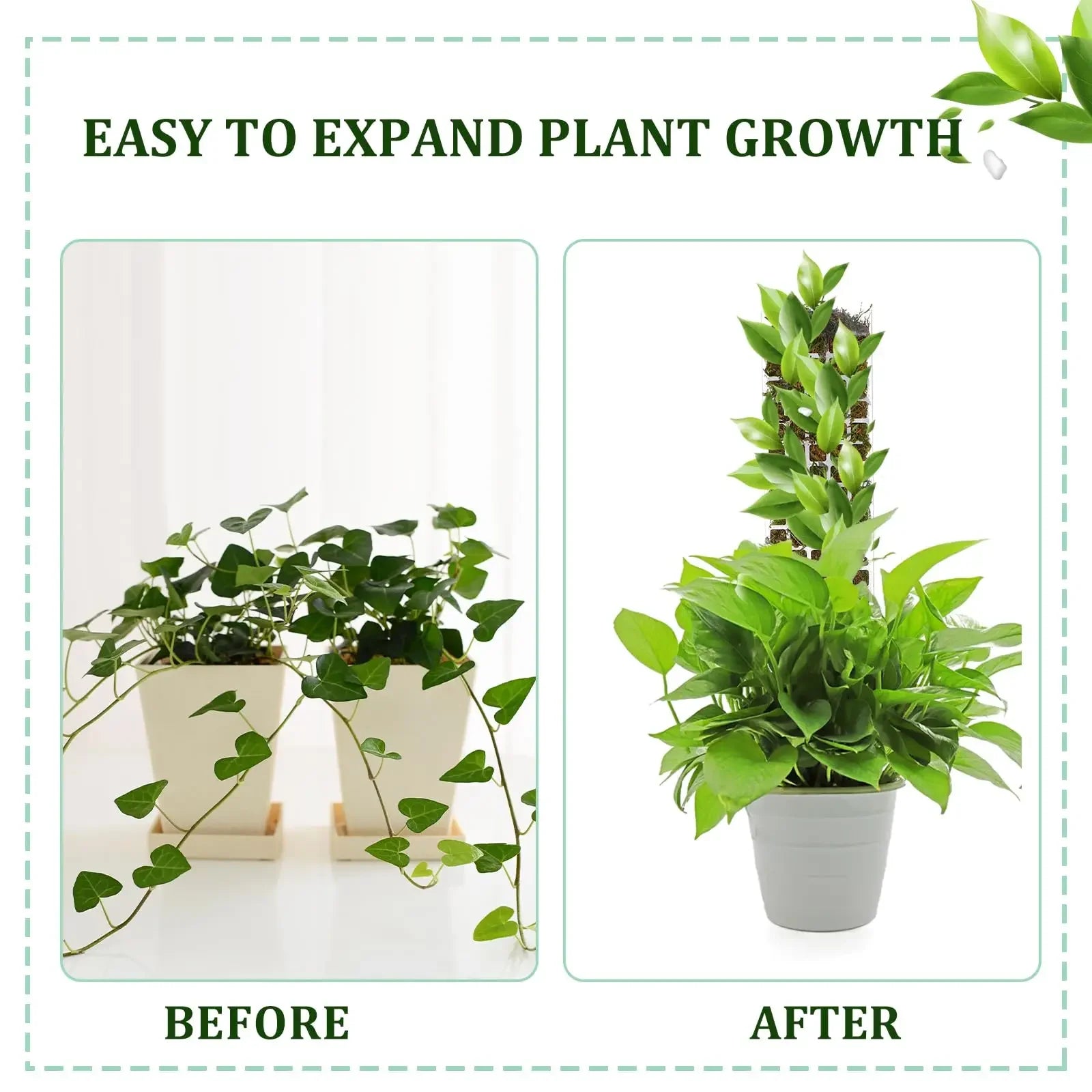 Indoor Moss Pole Plant Support