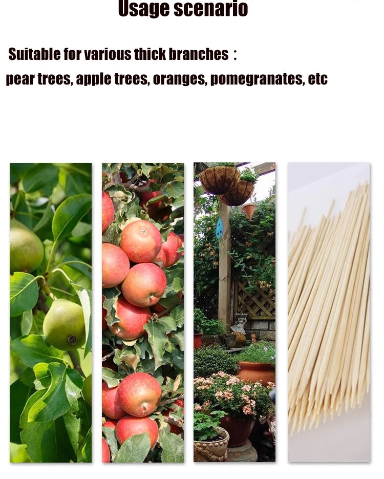 SK5 Steel Garden Hand Pruner – Orchard Tree Trimming Shears