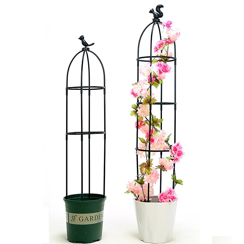 Climbing Plant Trellis Support Frame