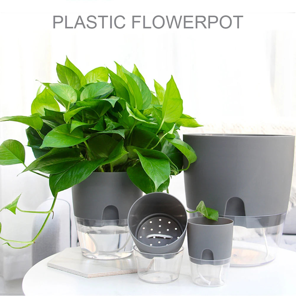 Transparent Self-Watering Flower Pot