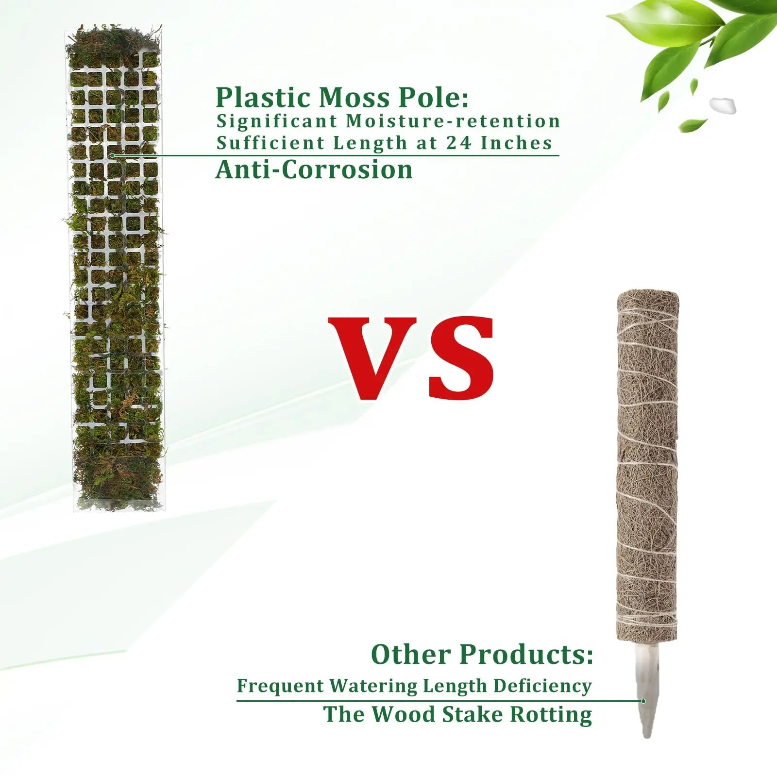 Indoor Moss Pole Plant Support