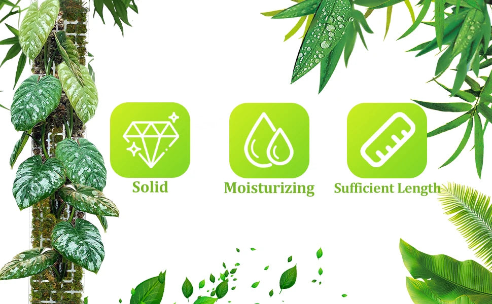 Climbing Moss Pole for Plants