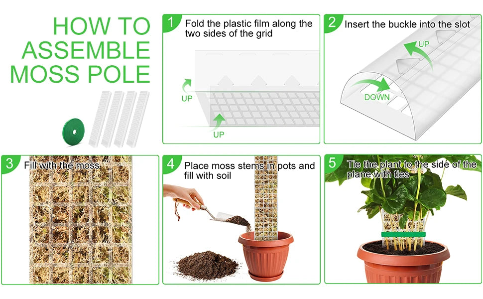 Climbing Moss Pole for Plants