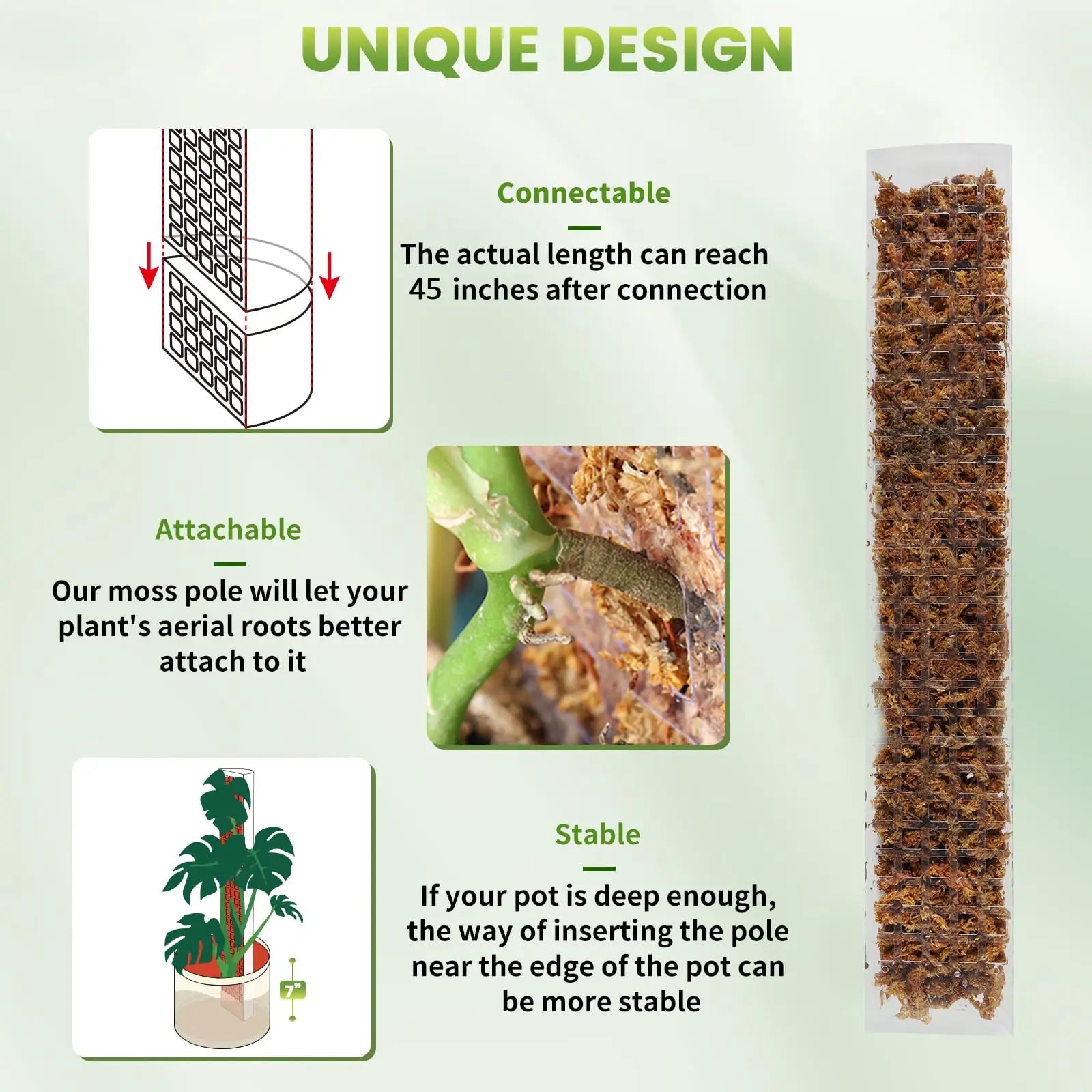 Climbing Moss Pole for Plants