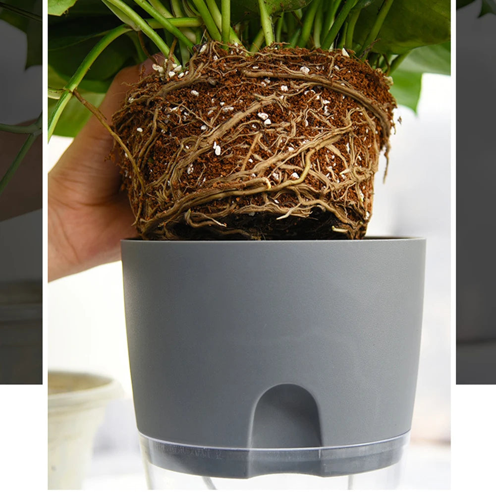 Transparent Self-Watering Flower Pot