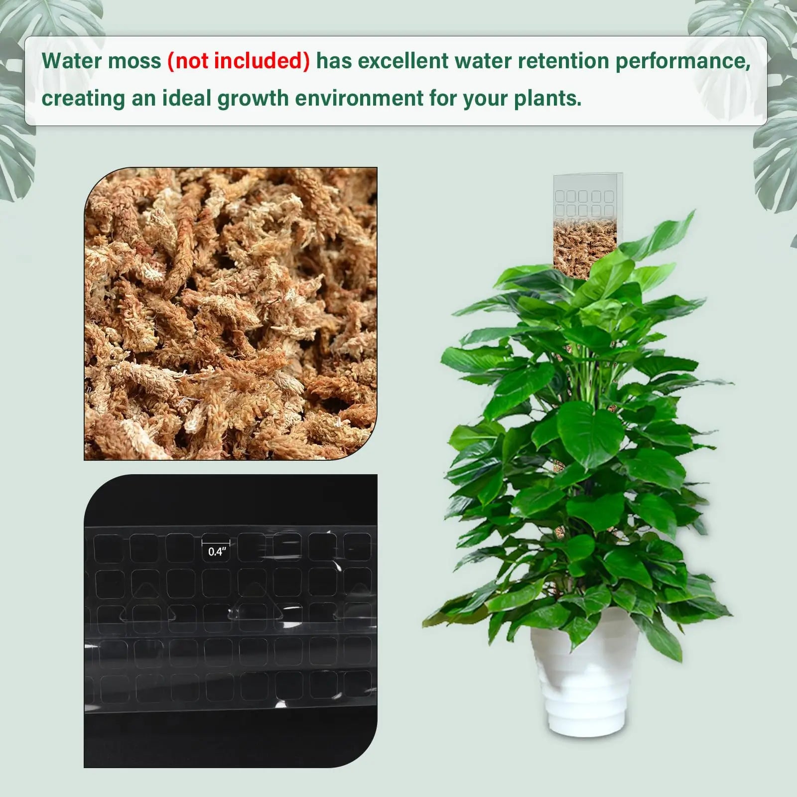 Climbing Moss Pole for Plants