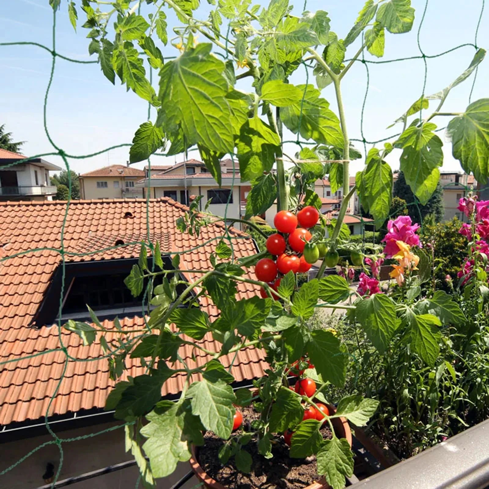 Garden Trellis Netting for Climbing Plants