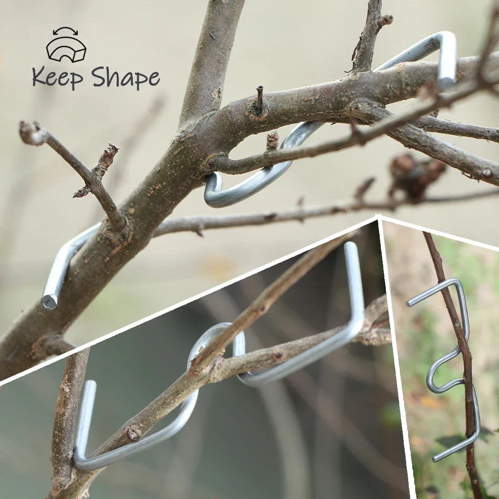 30/50PCS Reusable Branch Limb Spreaders – Fruit Tree & Vine Support (4 Sizes)