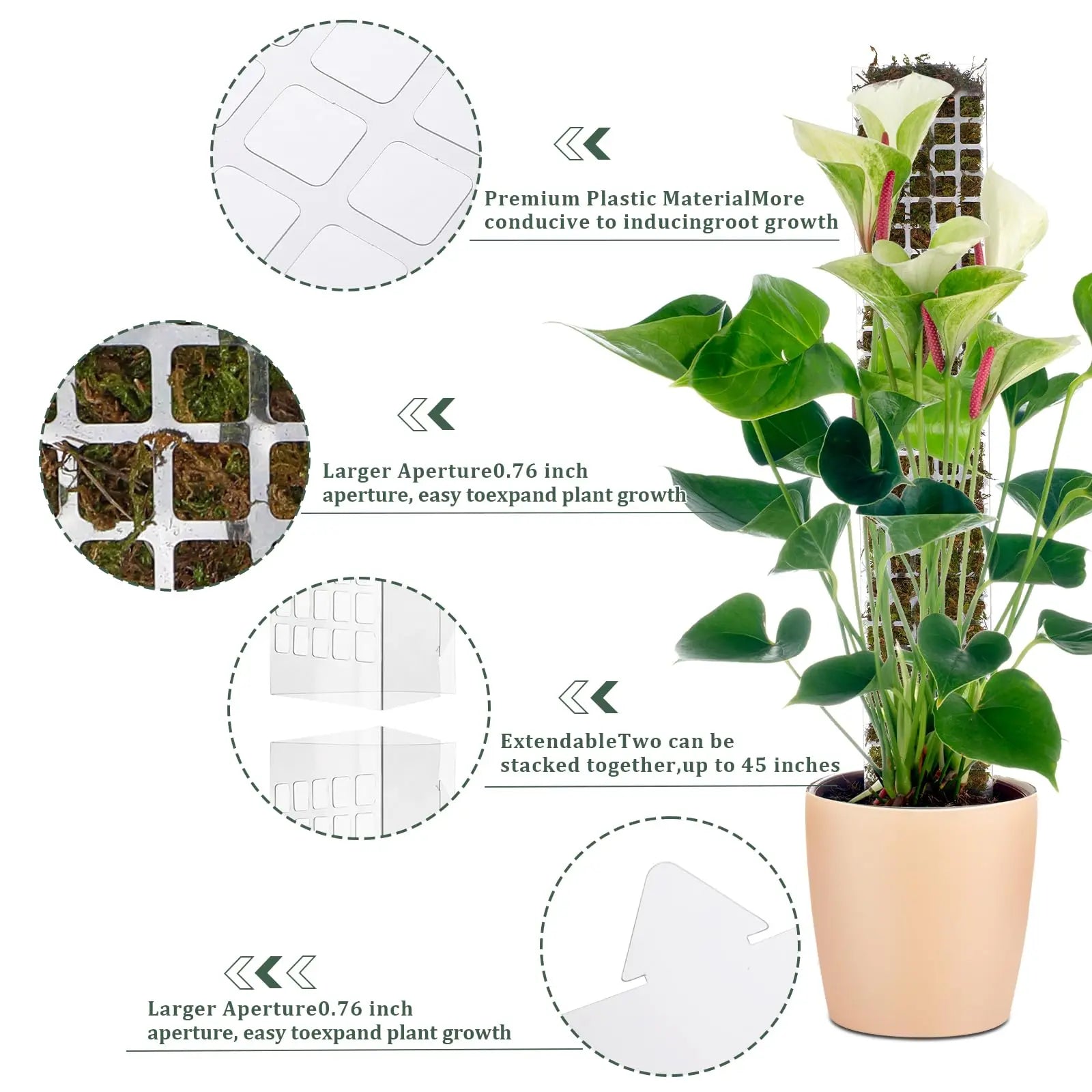 Climbing Moss Pole for Plants