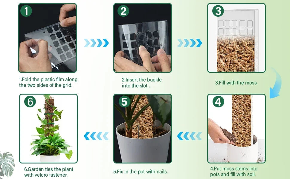 Indoor Moss Pole Plant Support