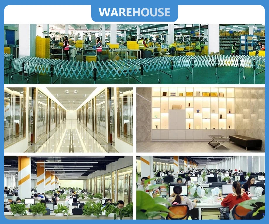 Transparent Self-Watering Flower Pot